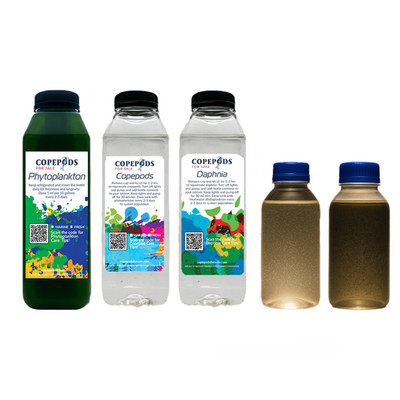 Freshwater Aquarium Ecosystem Starter Pack - Live Fish Fry Food - Free Ship