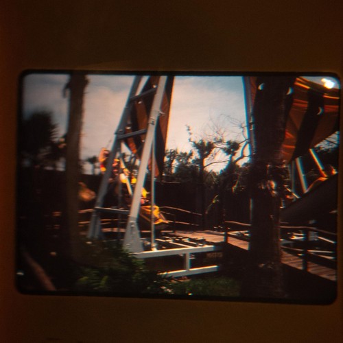 Diapositive fotografiche Busch Gardens Tampa Bay Florida maggio 1984 - Foto 2 di 3