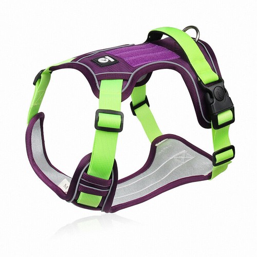 Arnés para perros mediano pequeño grande plomo sin tirar con asa collar de abrigo de coche fuerte - Imagen 14 de 16