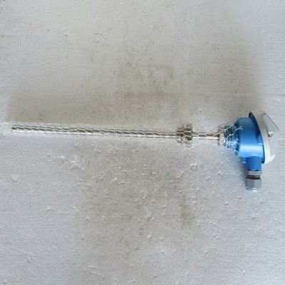  E+H temperature switch TR10-AAA1CASXC3000 L=300mm #W6