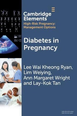 Lee Wai Kheong Ryan (u. a.) | Diabetes in Pregnancy | Taschenbuch | Englisch