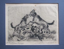 Magnus Zeller, 1888 in Biesenrode - 1972 Berlin. ETCHING " DOG BITING "