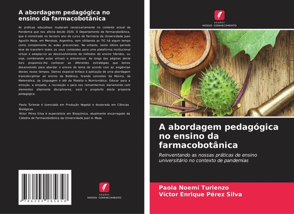 Paola Noemí Turienzo (U. A.) | A Abordagem PedagóGica No Ensino Da...-image