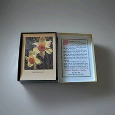 10 Vintage Antioch Floral Botanical Bookplates Daffodils