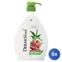 6X Bundle Dermomed Seife 1000 Ml Aloe Granatapfel