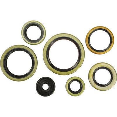 #ad Winderosa 822976 Oil Seal Kit $59.58