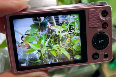 CASIO EXILIM EX-FX10 コンパクトカメラ Amazon | CASIO デジタルカメラ EXILIM (エクシリム) ZOOM シルバー EX
