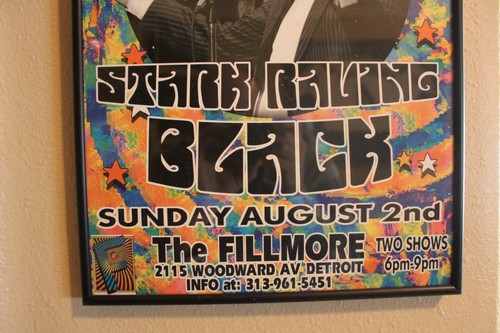 Klassiker! Lewis Black handsigniertes "Stark Raving Black" Poster 2009 - Detroit Show - Bild 8 von 24