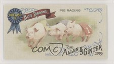 2019 Topps Allen & Ginter Dreams of Blue Ribbons Minis Pig Racing Contest c7z