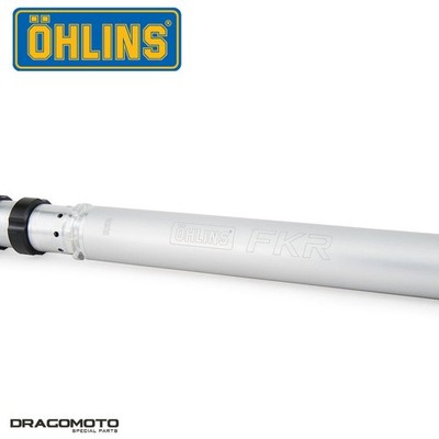 Cartridge Kit SUZUKI GSX-R 1000 X ABS 2019 OHLINS front FKR 105 | eBay