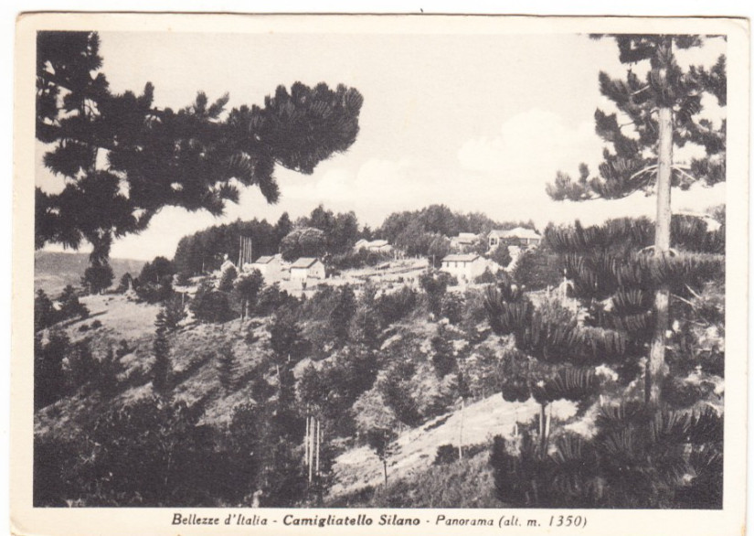 26-04367 - CAMIGLIATELLO COSENZA - PANORAMA NON VIAGGIATA