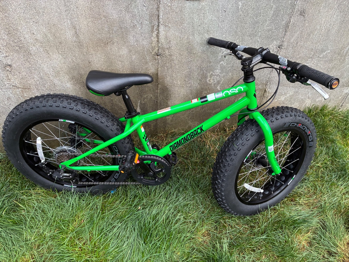 Diamondback El Oso Nino B20 Green 7-Speed Kids Fat Bike 20x4