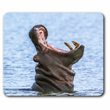 Computer Mouse Mat - Wild Africa Hippopotamus Hippo Office Gift #16422
