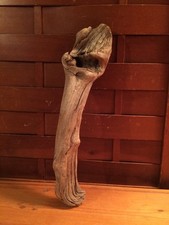 Beautiful 13" DRIFTWOOD Art Piece Terrarium Taxidermy Aquarium Beach Wood DECOR