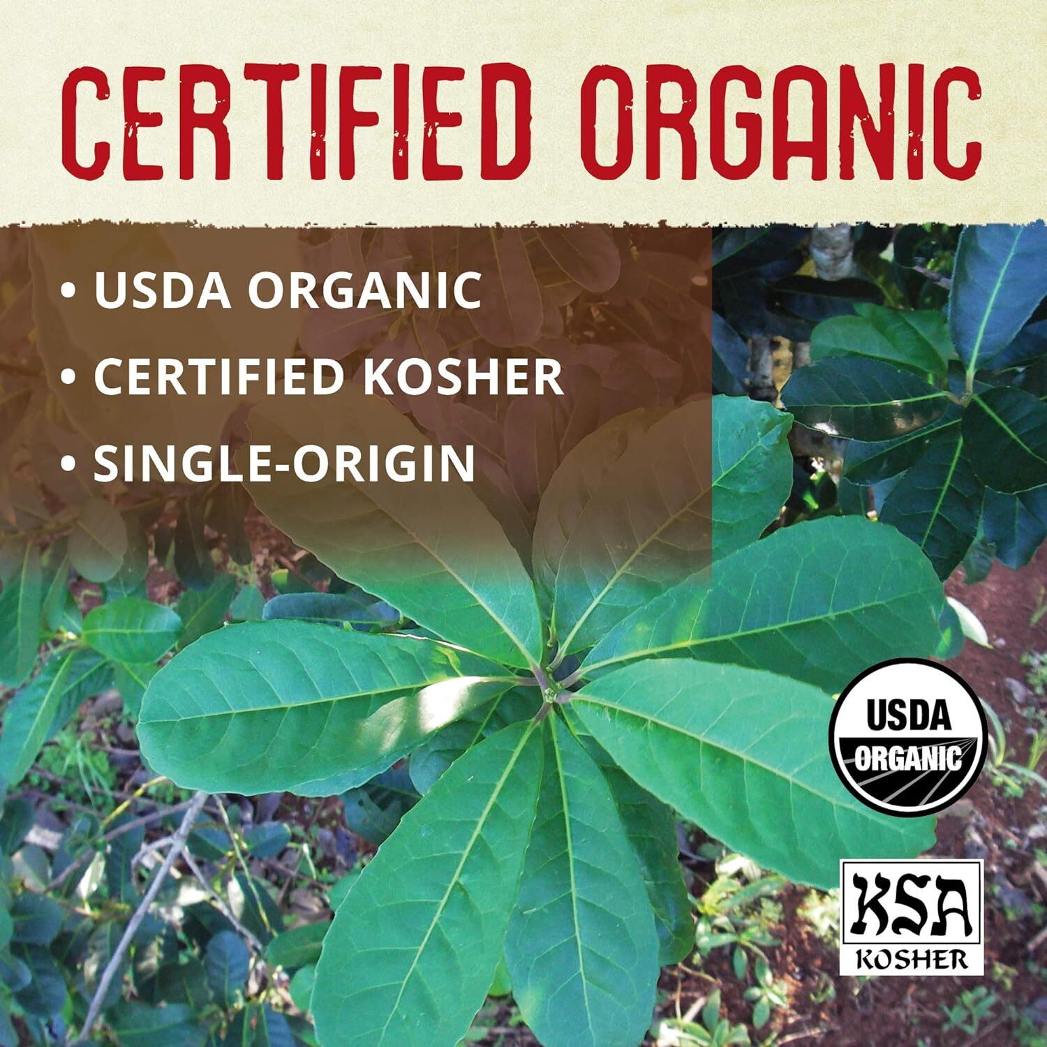 Eco Teas Organic Yerba Mate Green Energy Loose Leaf Tea 1 Lb | eBay