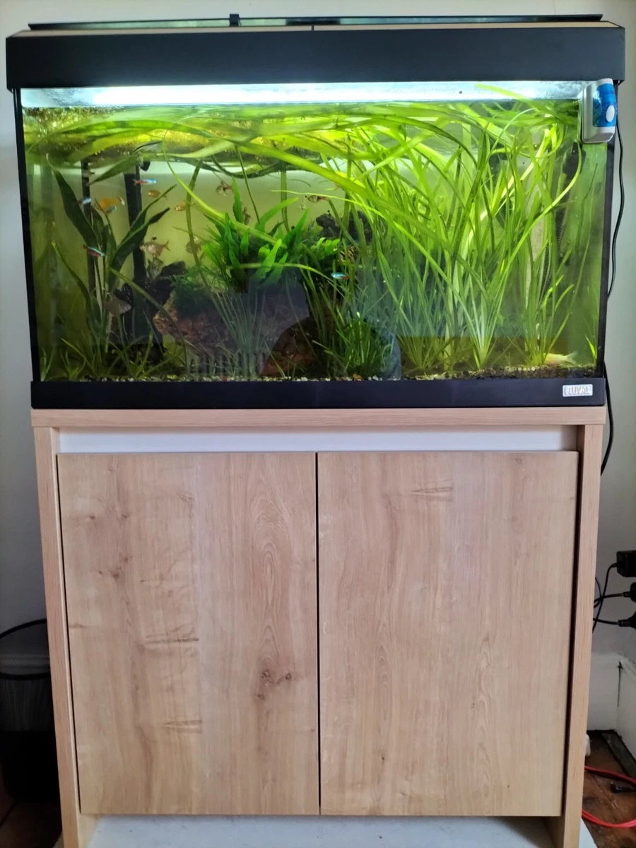 Fluval 125 Litre Fish tank with fish and full set up included