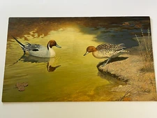 Russell Johnson Painting Wildlife Landscape Duck Lake Pond Realism Vintage LARGE