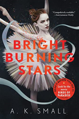 Bright Burning Stars - Paperback / softback NEW Small, A. K. 07/04/2021