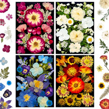 MIKIYA 92Pcs Pressed Dried Flowers for Resin, Real Assorted Natural Bulk Dry Flo