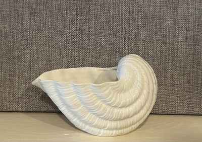 Nantucket Home White/cream Shell Planter 
