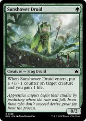Sunshower Druid 195 Foil Bloomburrow MTG