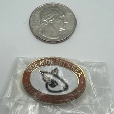 Vintage Ski Pin  Doe Mountain Ski Area Berks County PA Mtn Skiing Lapel Pin