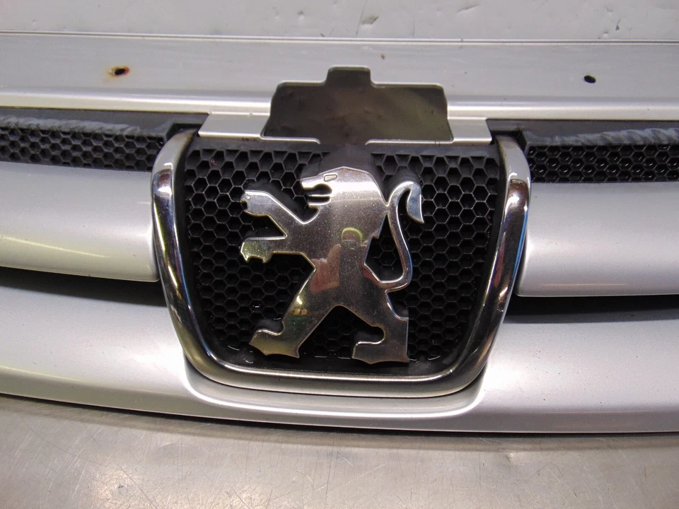 Peugeot Partner Radiator Grill Facelift MK1 04-08 Silver EZRC Grille 9644758577 — 第 4/4 张图片