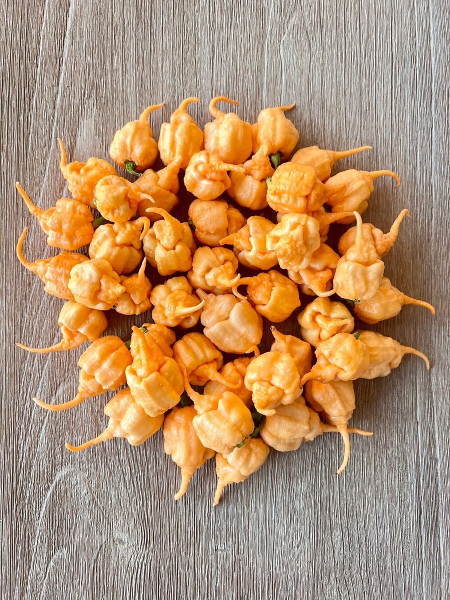 Jay's 7 Pot Primo Peach Pepper Seeds- Non-GMO Organic Superhot