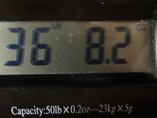 36 1/2 lbs Lead Ingots for casting sinkers, jigs, bullets. 23