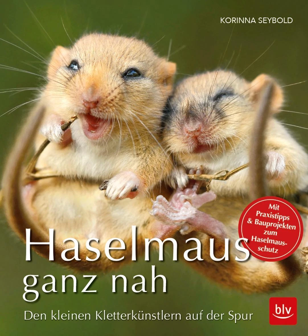 Bild 1 von 1