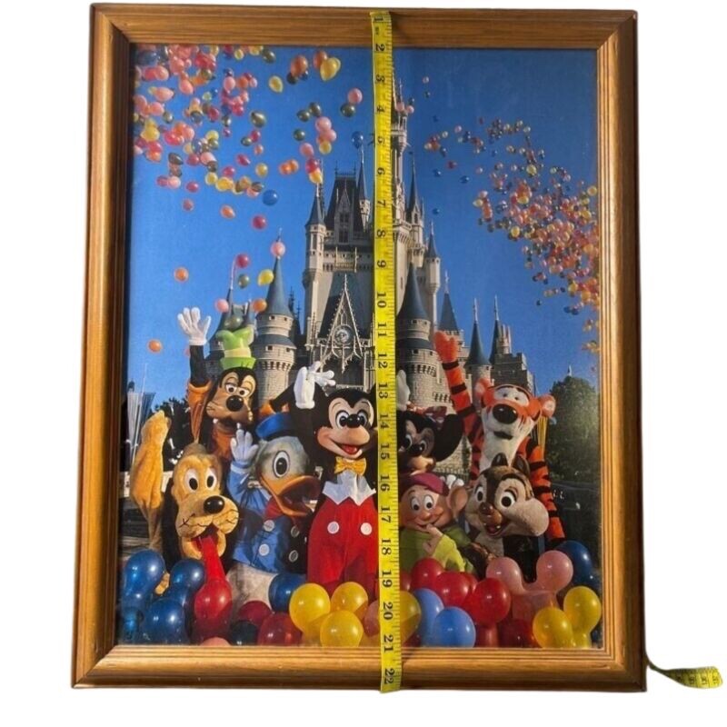 美品 Disney Framed Prints ディズニー アート クラシック Vintage Magic Kingdom Disney Castle Art Framed Print