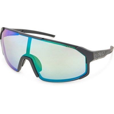 REVO Polar Sunglasses, Photochromic Lens - RE 1212 | eBay
