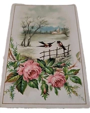 Cambrai A La Francaise Paul Mairesse Chicoree Nature Scene Roses Birds Church