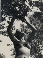 VINTAGE  AKTFOTO KUNST GARTEN  BÄUME NU GERMAN  NUDE ART PHOTO GIRL 1950