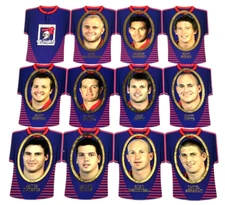 2007 SELECT NRL INVINCIBLE CARD JERSEY DIE CUT PARALLEL TEAM SET(12)-KNIGHTS