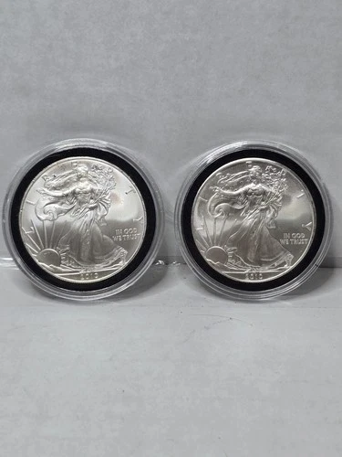 2010 1 Oz Silver American Eagle (Brilliant Uncirculated) Lot Of 2