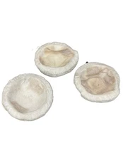 BriskHeat HM5000-HS1 lower hemispherical heating mantle  for 5000mL flask