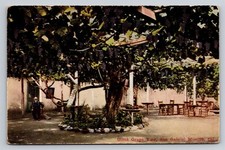 San Gabriel Mission California Giant Grape Vine Postcard Tilton's Trolley Trip