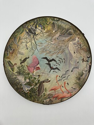 BOX ONLY 1965 Circular SPRINGBOK Round Puzzle WATER BIRDS Arthur Singer 20.25''