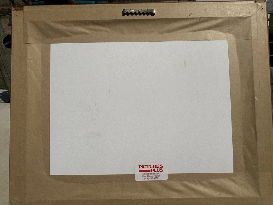 Wyland Maui Dawn 1992 Ocean Breaching jubarte baleia coral havaiano impressão emoldurada  - Imagem 3 de 3