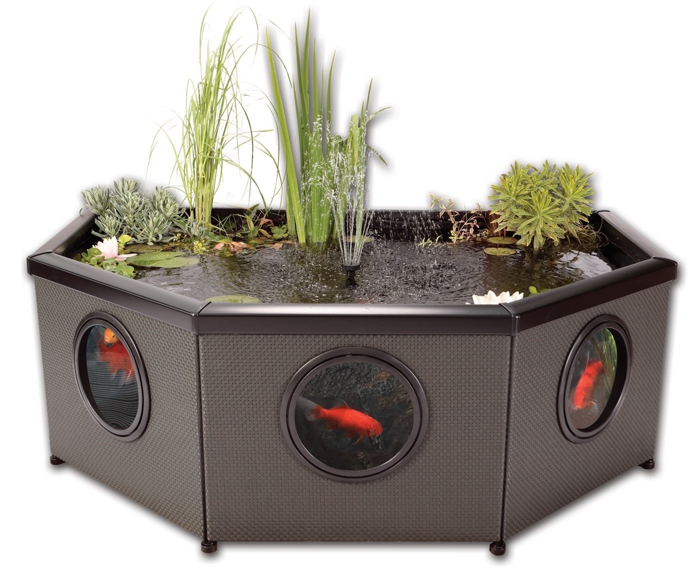 BLAGDON AFFINITY GRAND MEDIA LUNA MOCA PATIO PISCINA FUENTE DE AGUA ESTANQUE PECES KOI