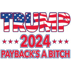 ALTRA T Shirt dalla S alla 2XL 3XL PAYBACK'S a b!tch TRUMP divertimento politico adulto