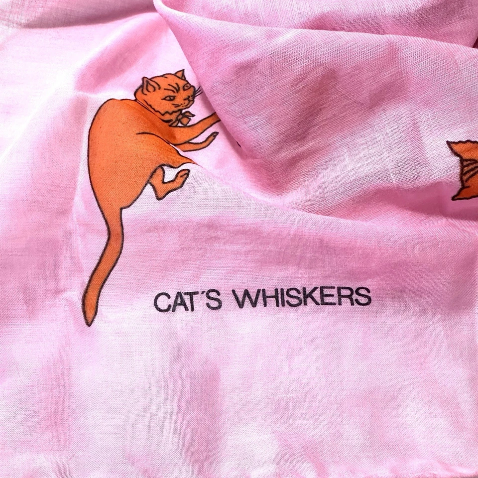 Brooke Cadwallader Gatos Bigotes Naranja Gato Rosa Bufanda 39” X 36” Foto 2 de 4