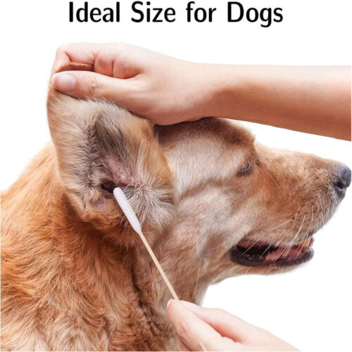 Dog Cotton Buds 100 Pcs Long Ear Dog Cleaner Cotton Swab Sticks with Wood Handle - Picture 4 of 12