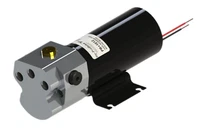 Autopilot Hydraulic Pump Raymarine S1 S2 S3 S3G EV150 EV200 TYPE 1 12V M81120