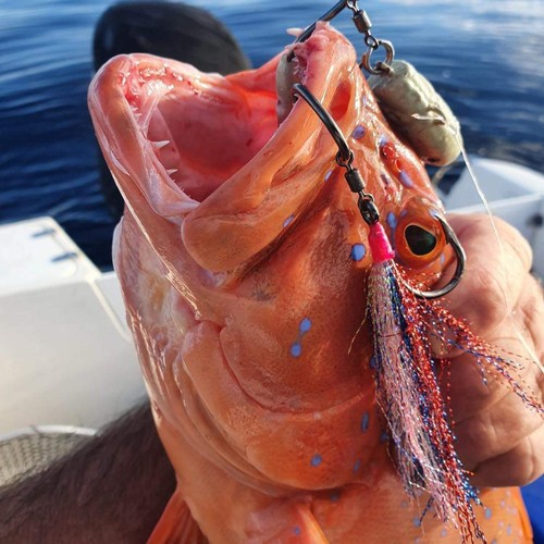 OM Flasher Glow Freaks Bait Jigs - Picture 11 of 32