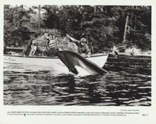 8X10 FILM STILL FROM FREE WILLY 2: THE ADVENTURE HOME