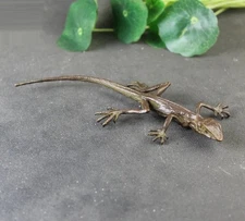 Brass Lizard Figurine Small Animal Statue Table Office Home Decoration Toy Gifts