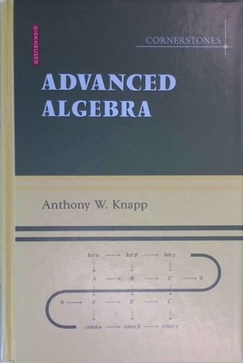 Advanced Algebra: Along with a Companion Volume 'Basic Algebra' . Cornerstones. 