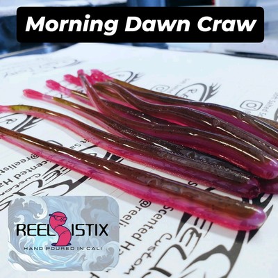 Roboworm Style  5.75 Slim Bot plastic Worm/ Drop shot. Morning dawn  Craw -10ct.